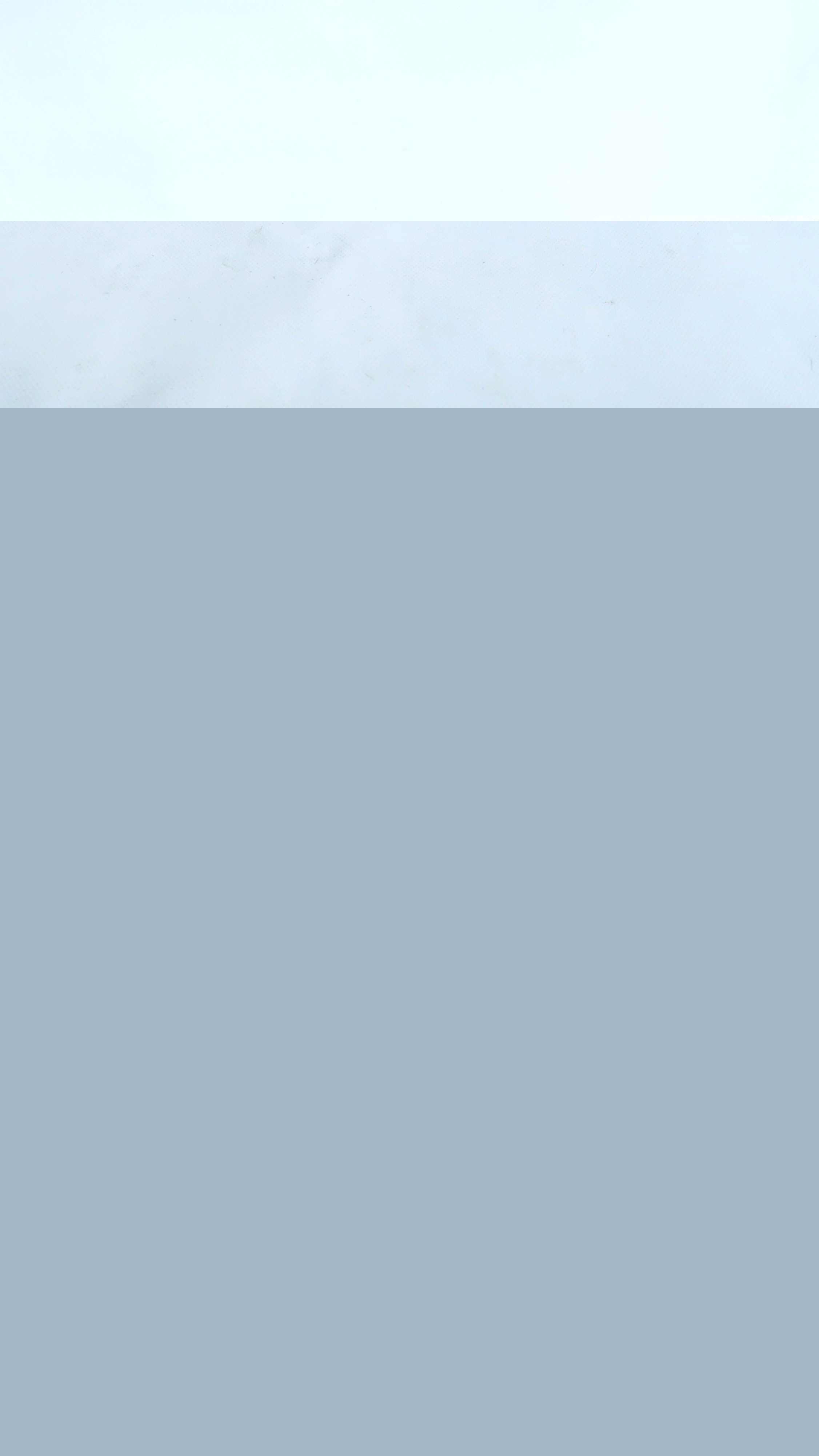 Cartera hobo mediana - Roz